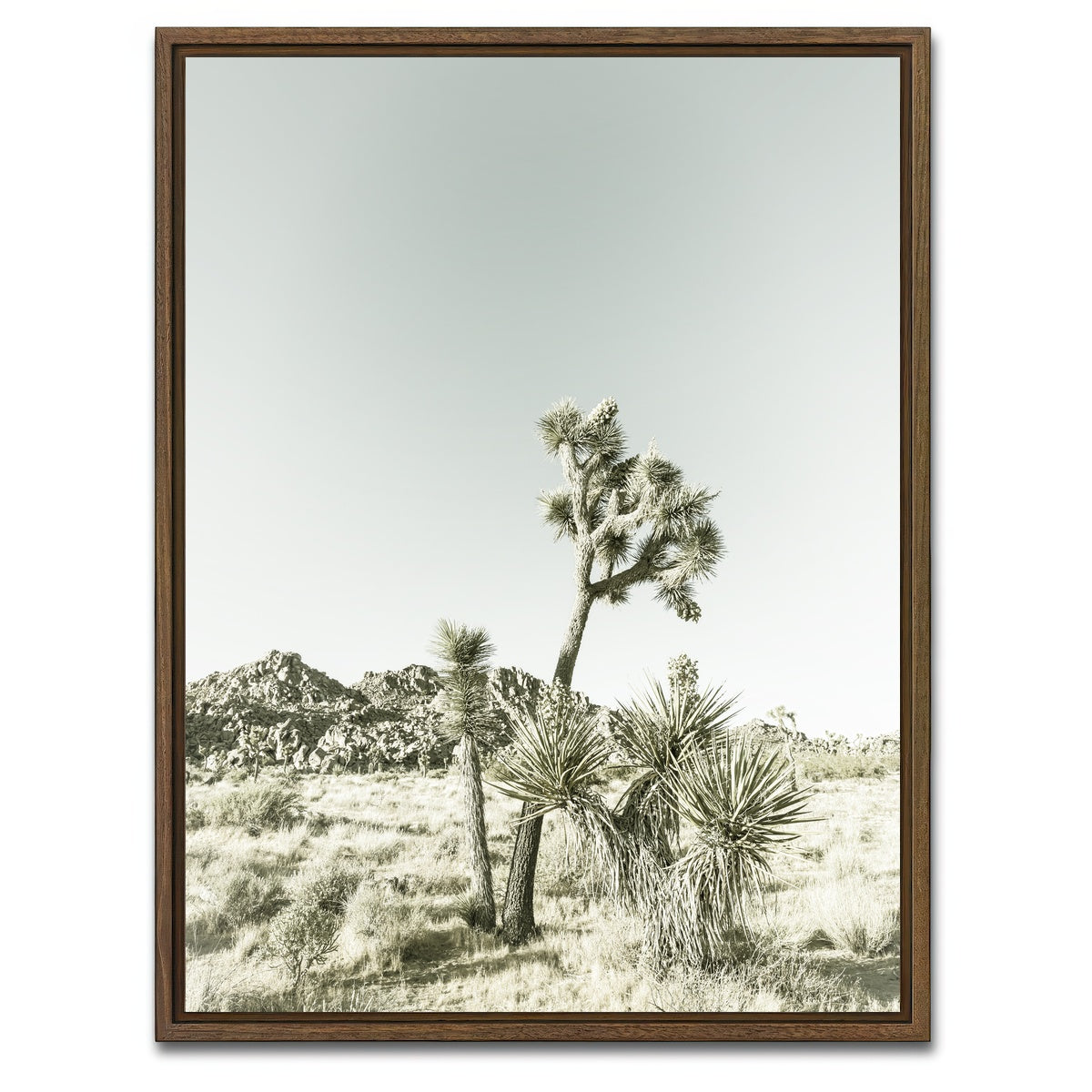 Joshua Tree National Park Vintage Wall Art