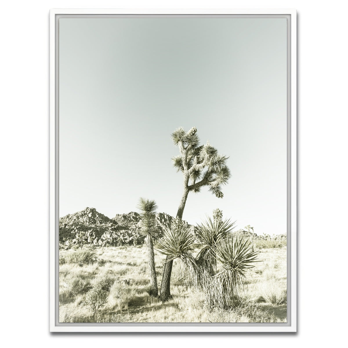 Joshua Tree National Park Vintage Wall Art