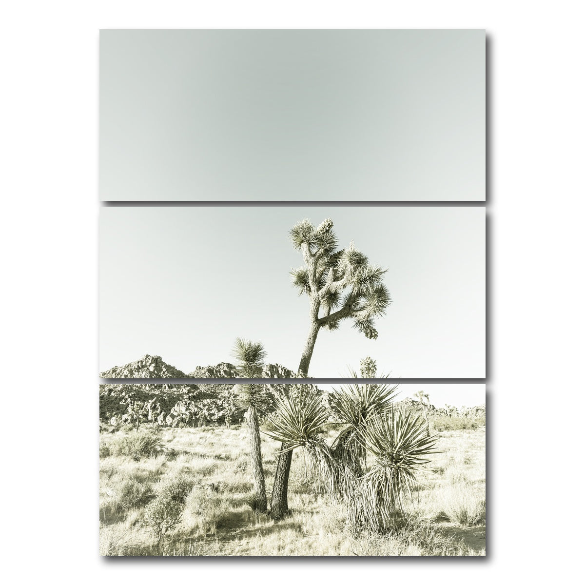 Joshua Tree National Park Vintage Wall Art