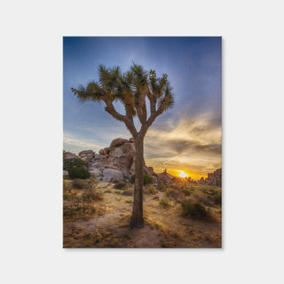 AUTO-MOCKUP WHITE | Joshua Tree National Park | 1 Piece | Gallery Wrap Canvas | group=3x4