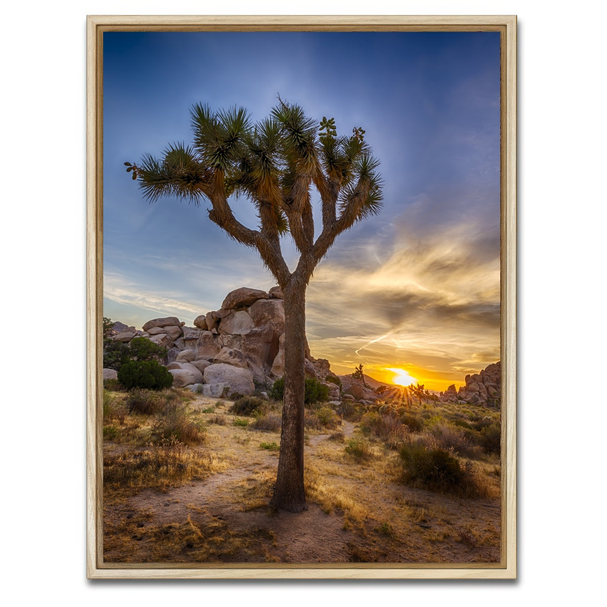 AUTO-MOCKUP WHITE | Joshua Tree National Park | 1 Piece | Natural Framed Canvas | group=3x4