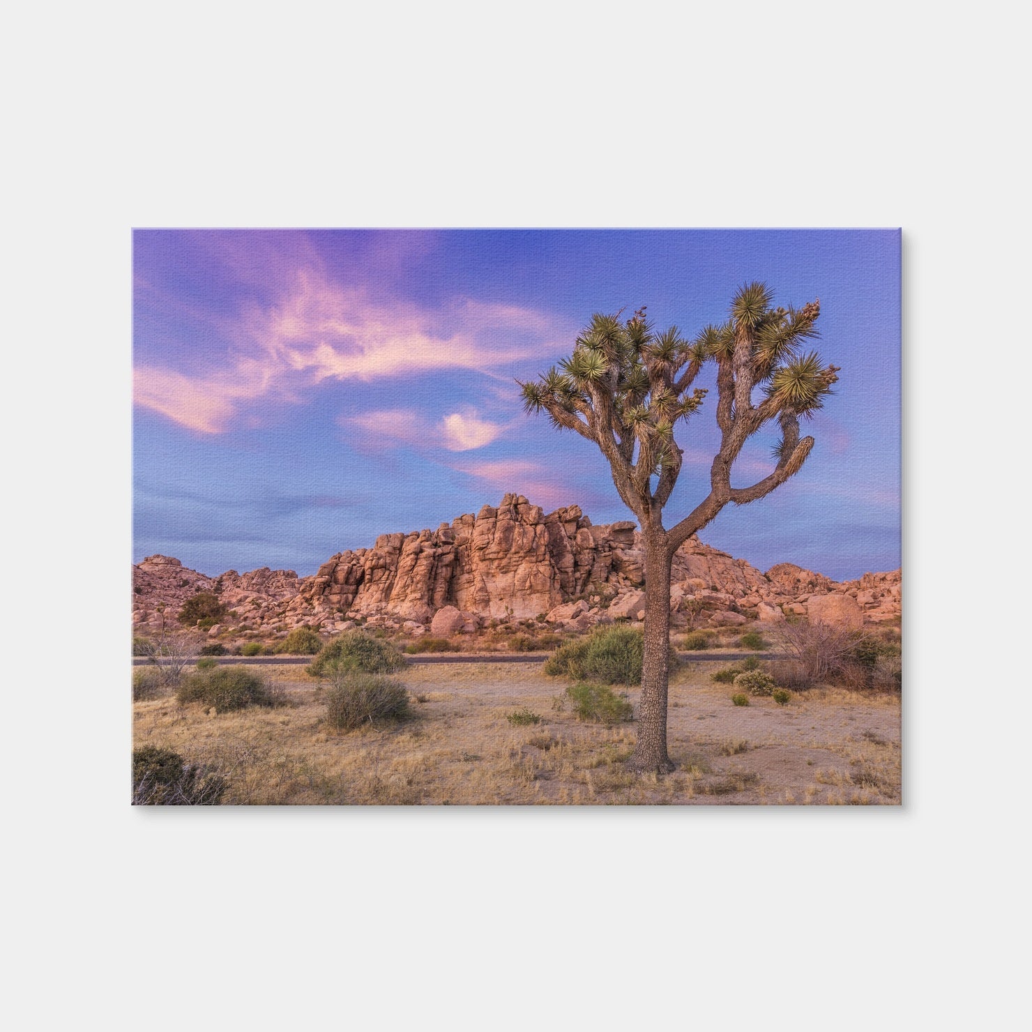 AUTO-MOCKUP WHITE | Joshua Tree in the Evening | 1 Piece | Gallery Wrap Canvas | group=4x3