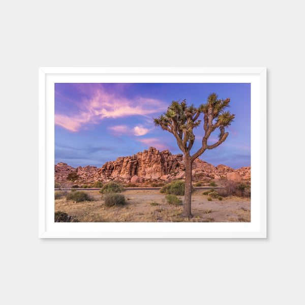 Joshua Tree in the Evening Wall Art — Framed Print Format preview
