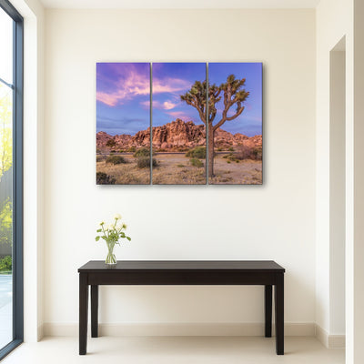 AUTO-MOCKUP ROOM | Joshua Tree in the evening