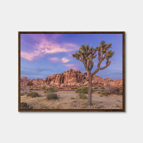Joshua Tree in the Evening Wall Art — Framed Canvas Format preview