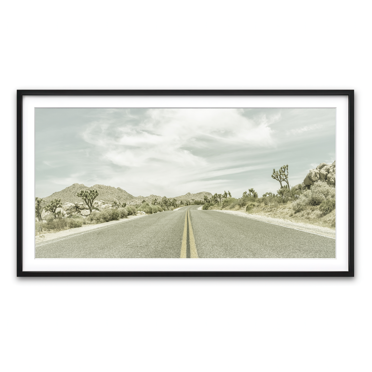 Joshua Trees Park Boulevard Wall Art
