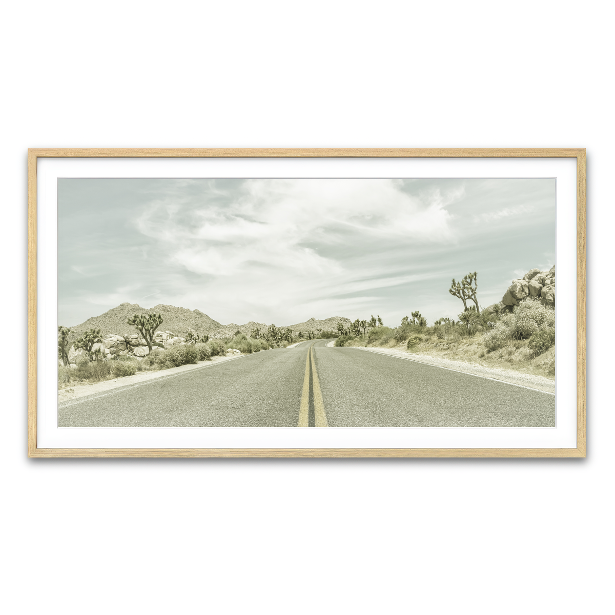 Joshua Trees Park Boulevard Wall Art