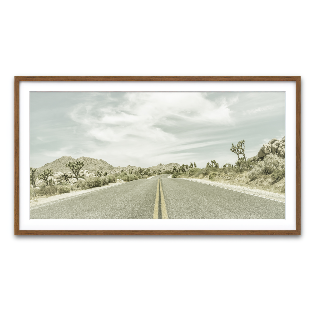 Joshua Trees Park Boulevard Wall Art