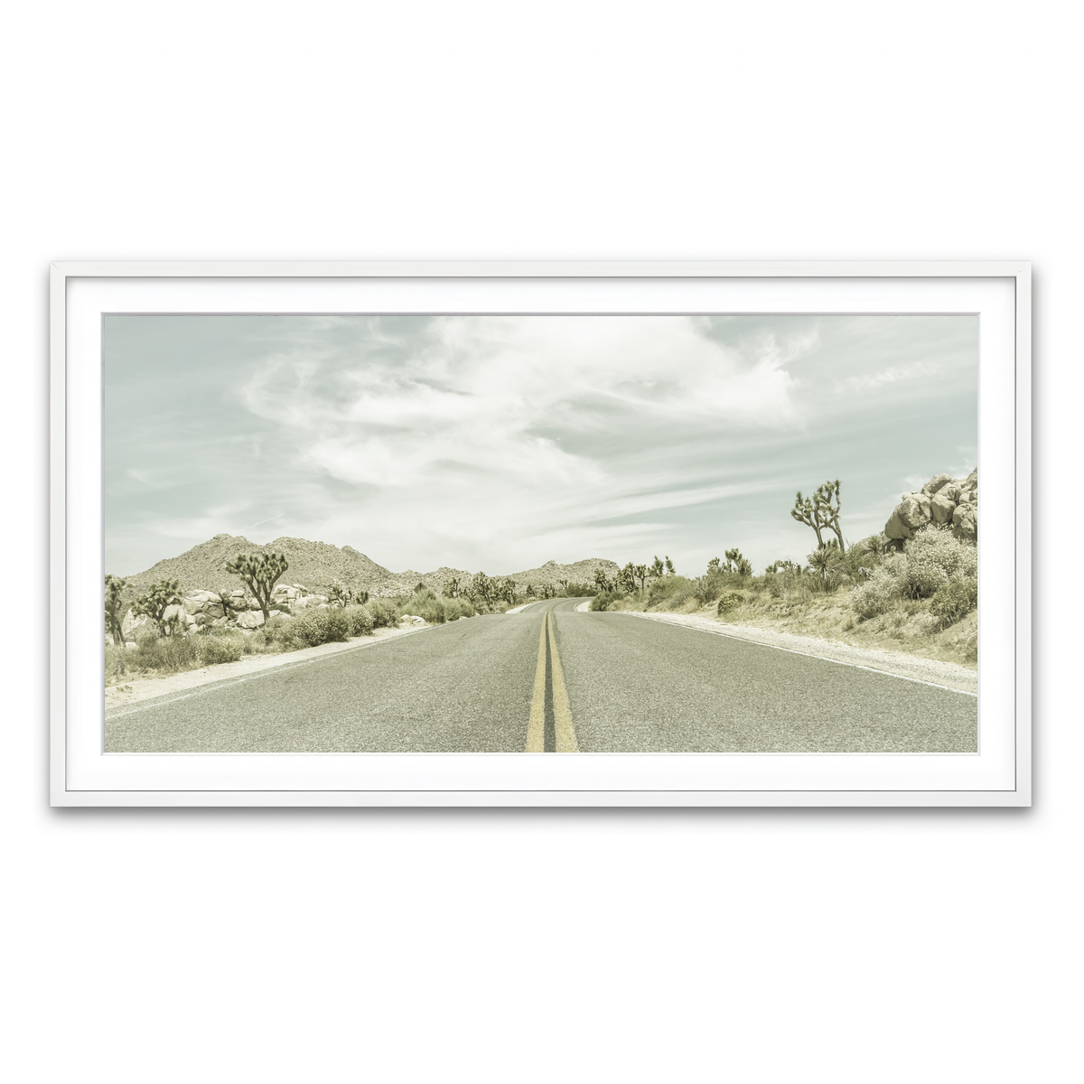 Joshua Trees Park Boulevard Wall Art
