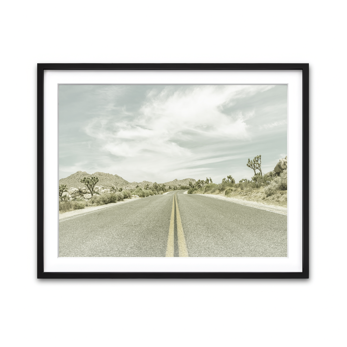 Joshua Trees Park Boulevard Wall Art