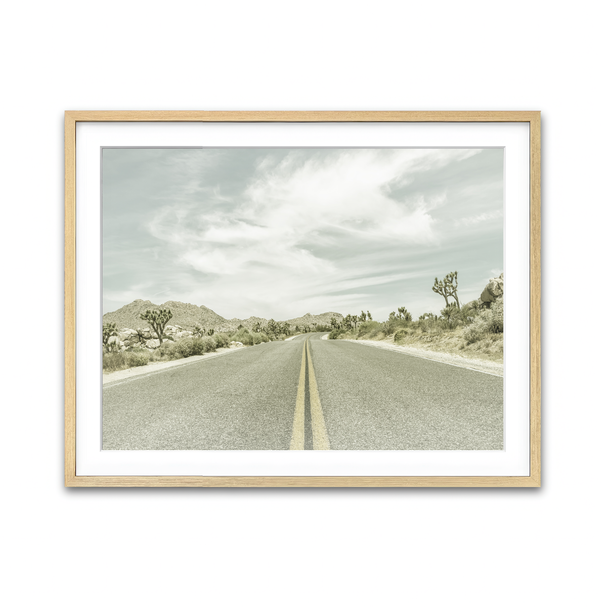 Joshua Trees Park Boulevard Wall Art