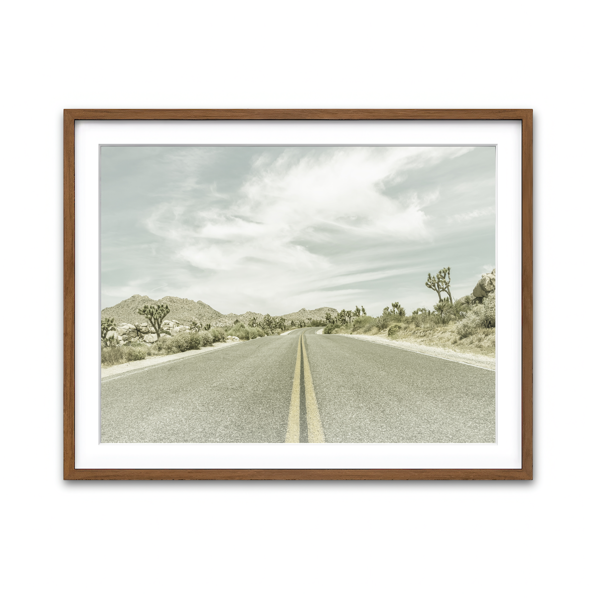 Joshua Trees Park Boulevard Wall Art