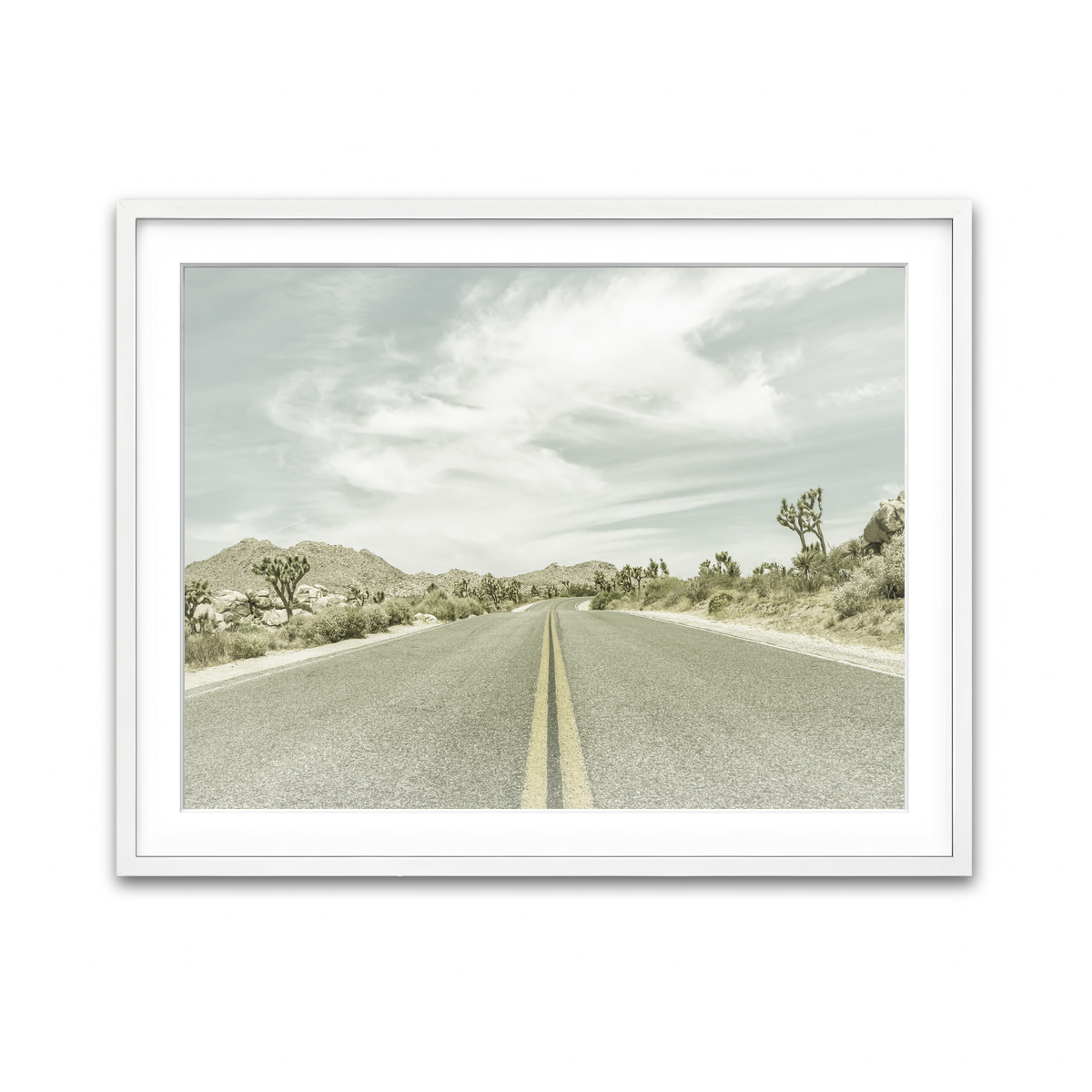 Joshua Trees Park Boulevard Wall Art