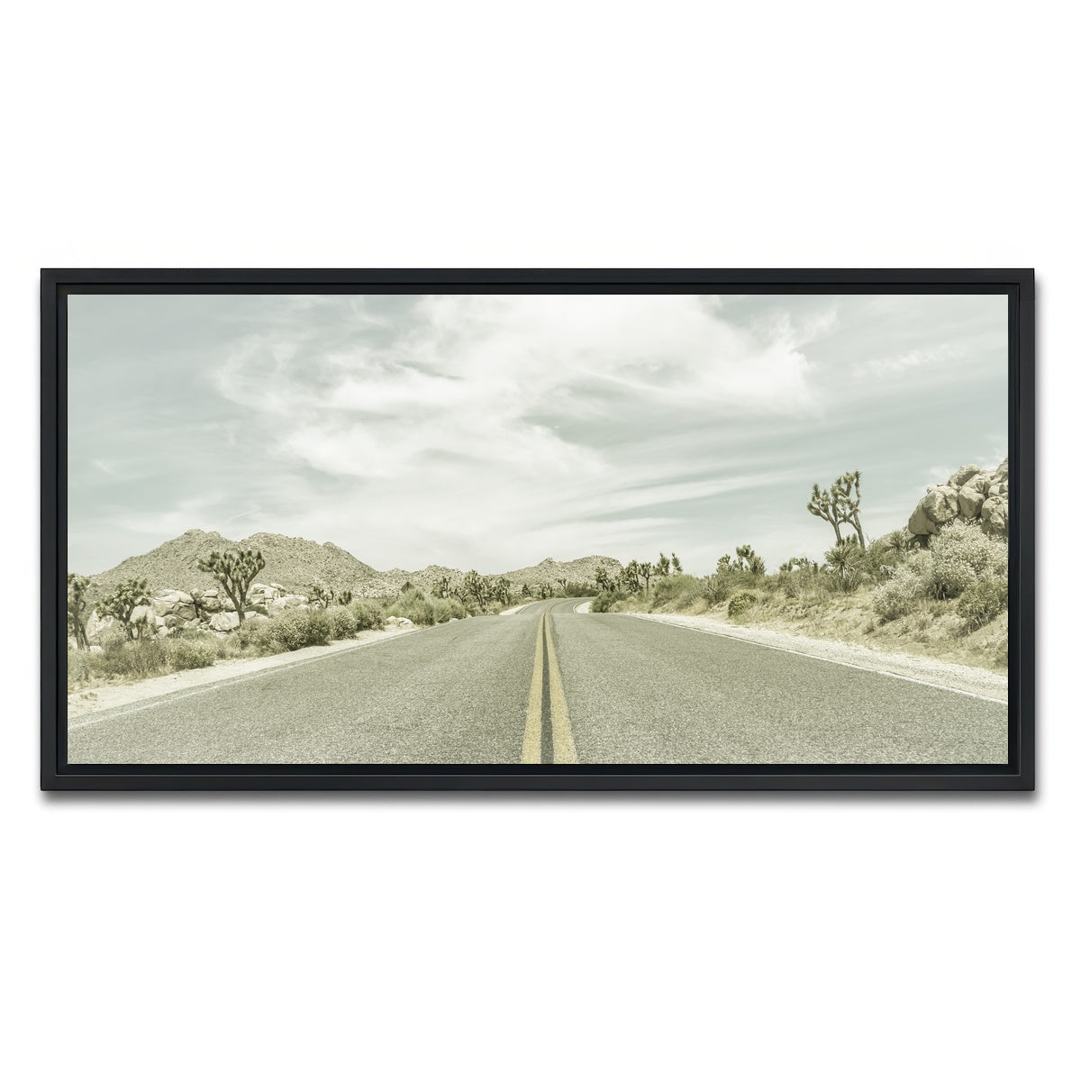 Joshua Trees Park Boulevard Wall Art