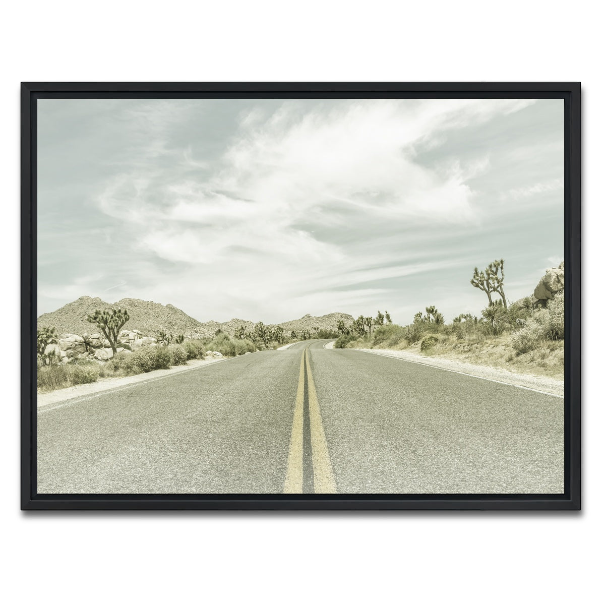 Joshua Trees Park Boulevard Wall Art