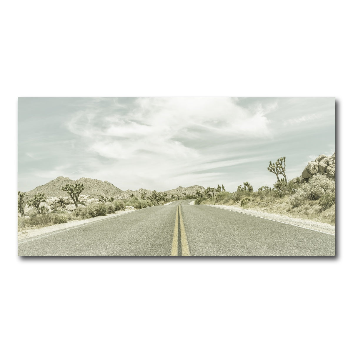 Joshua Trees Park Boulevard Wall Art