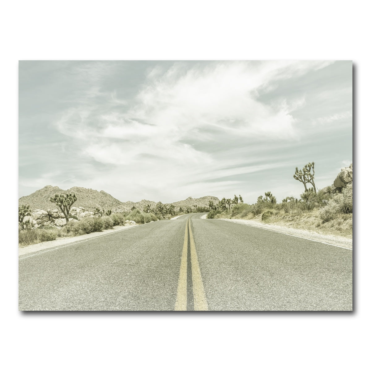Joshua Trees Park Boulevard Wall Art