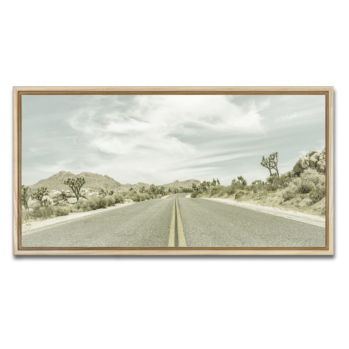 Joshua Trees Park Boulevard Wall Art
