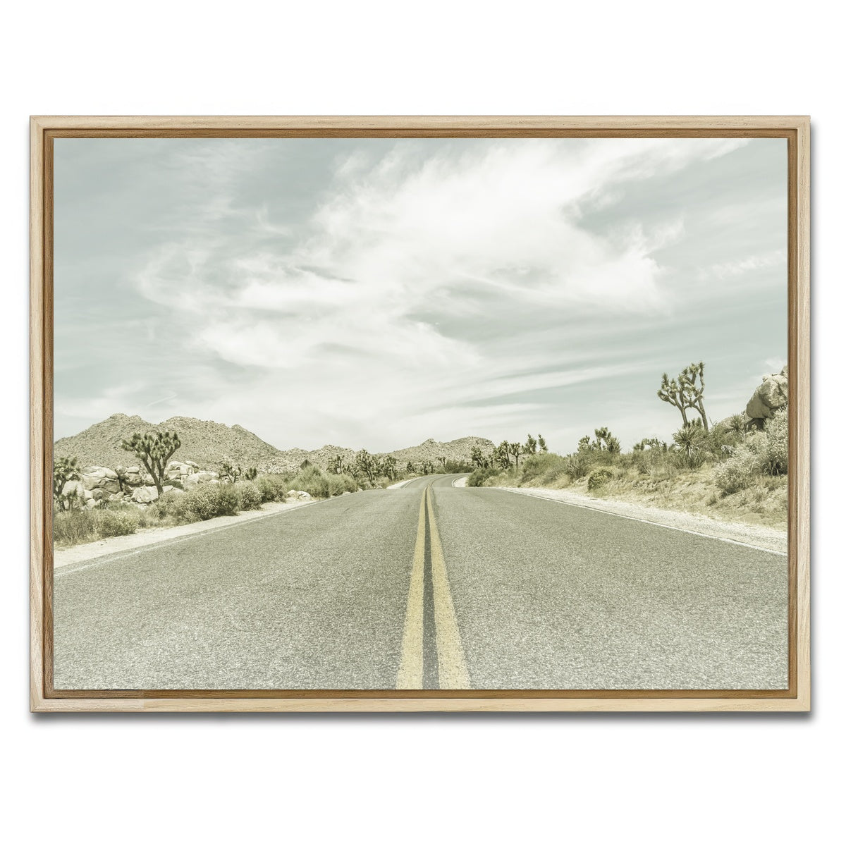Joshua Trees Park Boulevard Wall Art