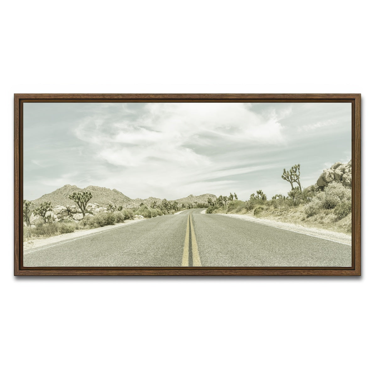 Joshua Trees Park Boulevard Wall Art