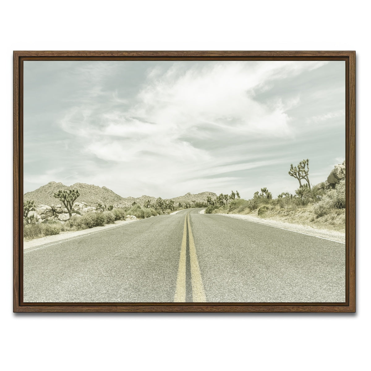 Joshua Trees Park Boulevard Wall Art