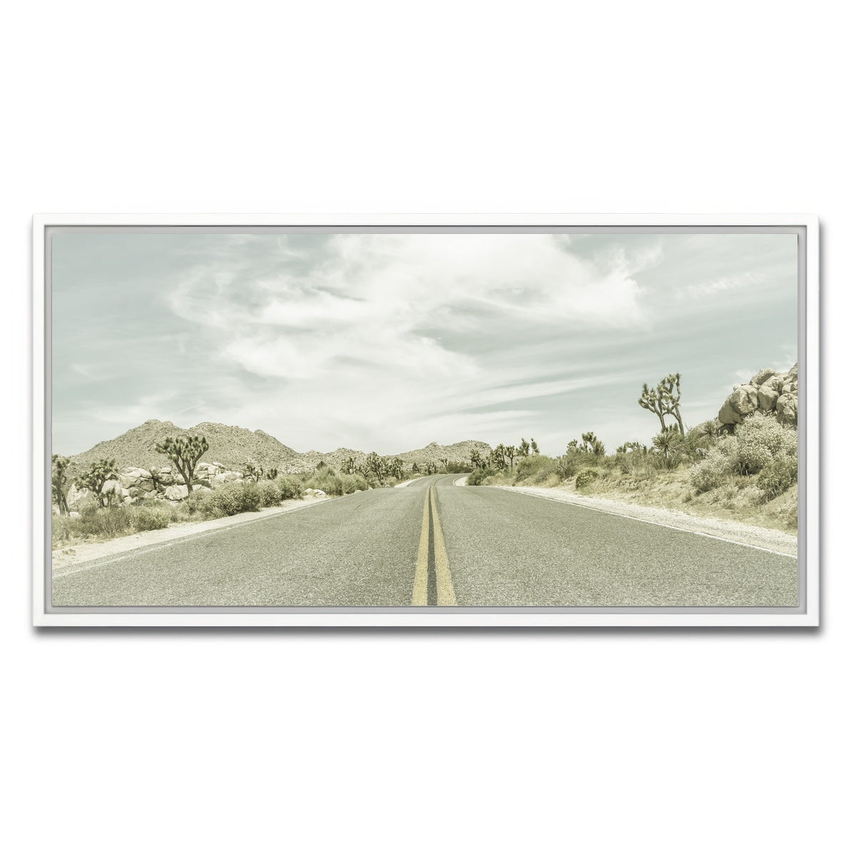 Joshua Trees Park Boulevard Wall Art