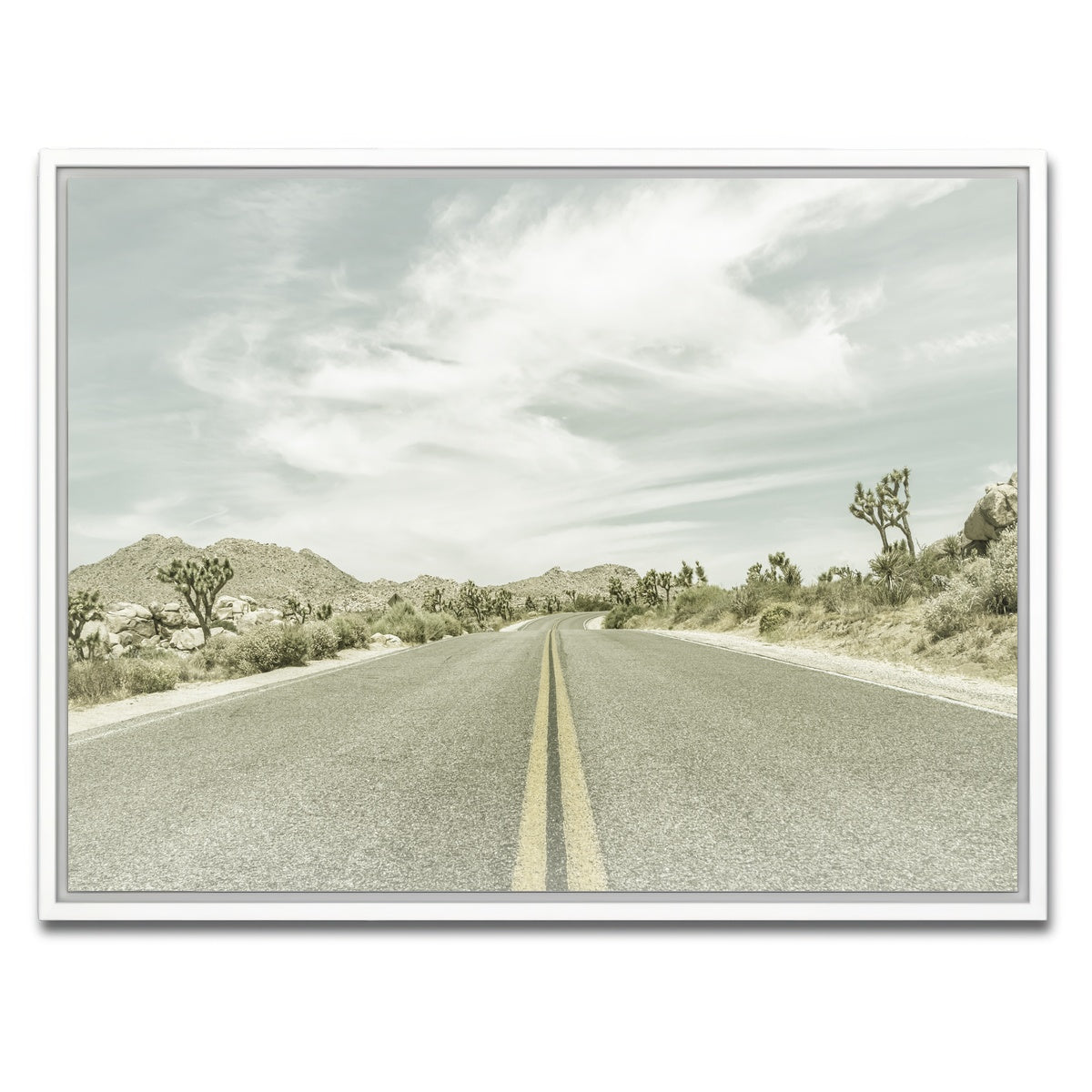 Joshua Trees Park Boulevard Wall Art