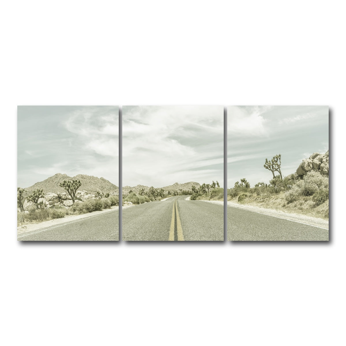 Joshua Trees Park Boulevard Wall Art