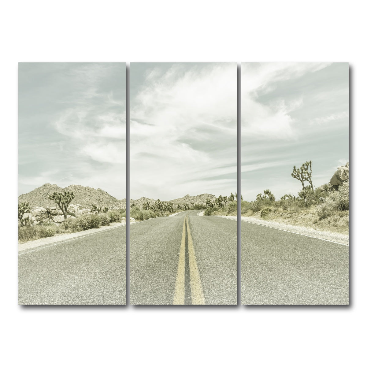 Joshua Trees Park Boulevard Wall Art