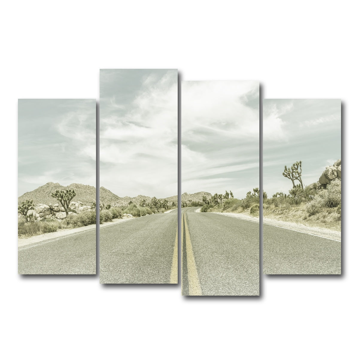 Joshua Trees Park Boulevard Wall Art
