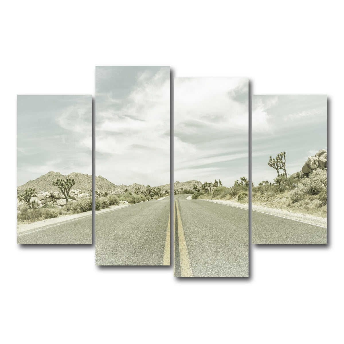 Joshua Trees Park Boulevard Wall Art