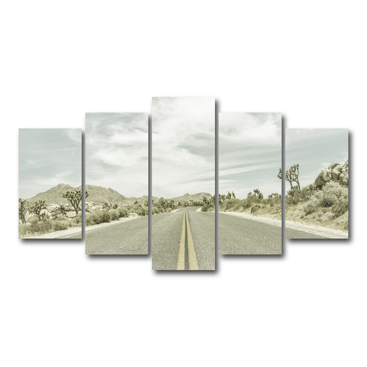 Joshua Trees Park Boulevard Wall Art