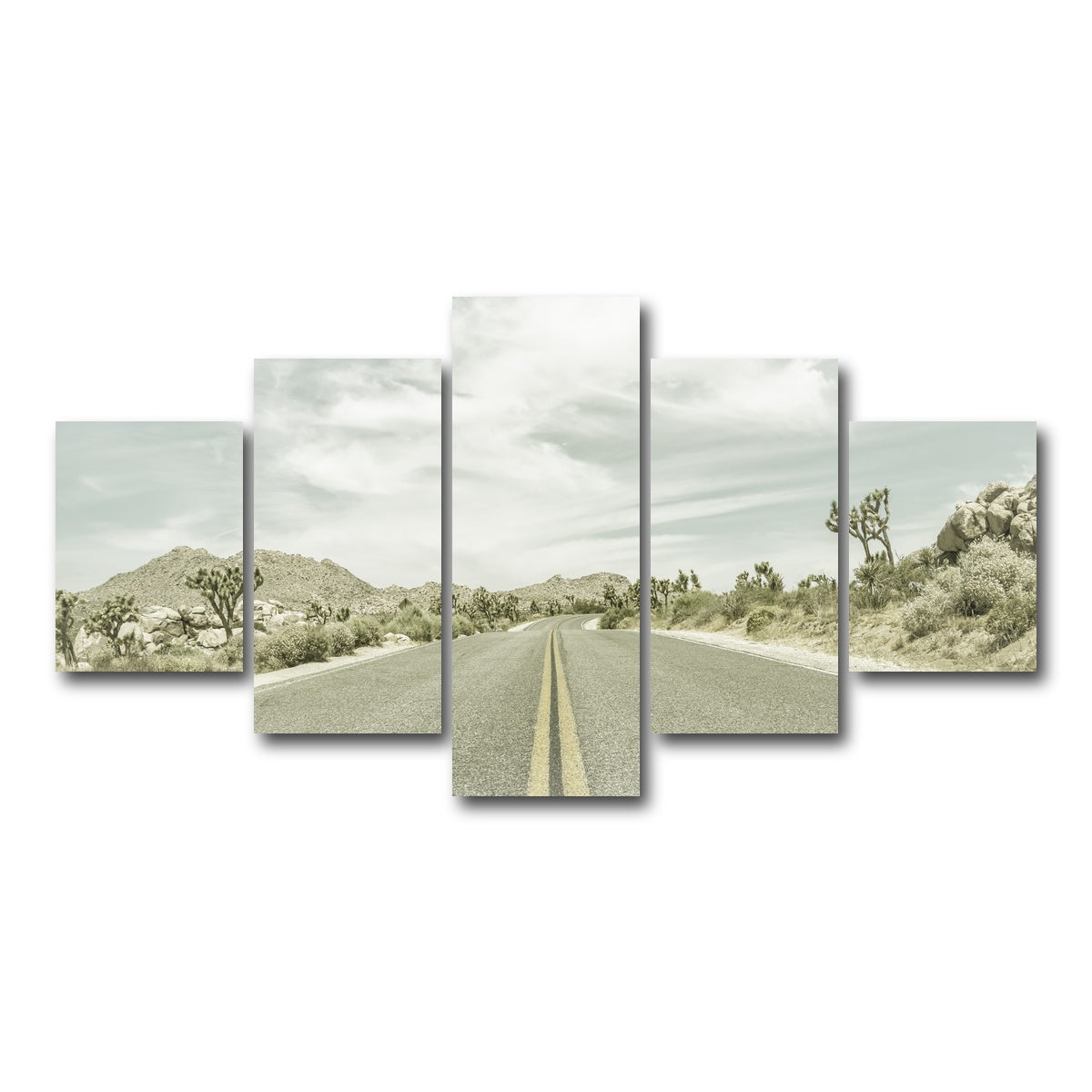 Joshua Trees Park Boulevard Wall Art