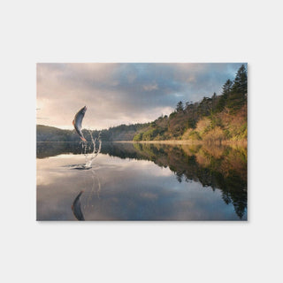 AUTO-MOCKUP WHITE | Jumping Fish | 1 Piece | Gallery Wrap Canvas | group=4x3