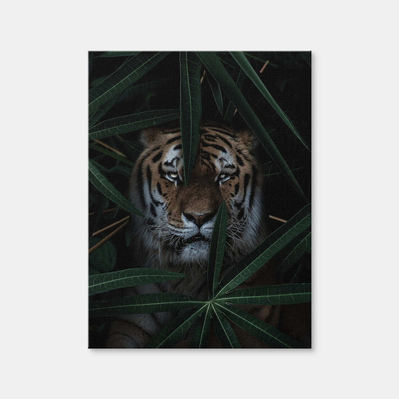 AUTO-MOCKUP WHITE | Jungle Cat | 1 Piece | Gallery Wrap Canvas | group=3x4