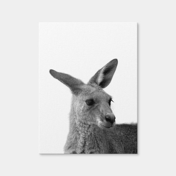 Kangaroo Wall Art — Canvas Wrap Format preview