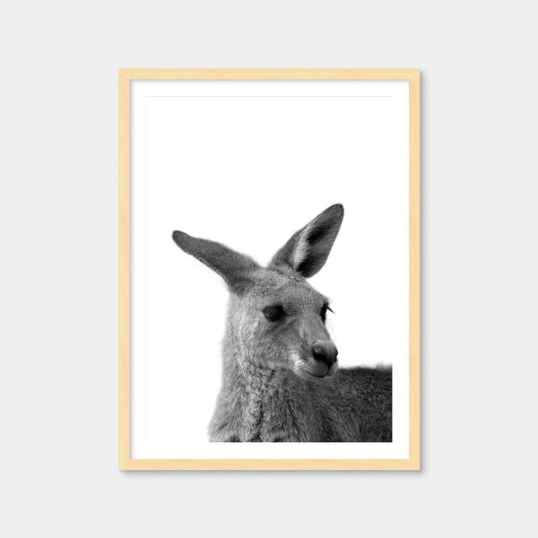 Kangaroo Wall Art — Framed Print Format preview