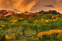 Kebler Pass Wall Art