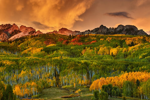 Kebler Pass Wall Art
