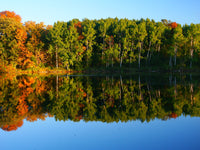 Kettle Moraine State Forest Wall Art