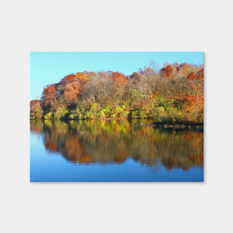 AUTO-MOCKUP WHITE | Kickapoo State Park | 1 Piece | Gallery Wrap Canvas | group=4x3