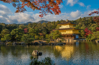 Kinkaku-ji buddhist temple Wall Art