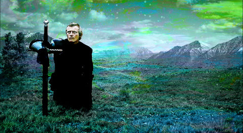 Ladyhawke Wall Art