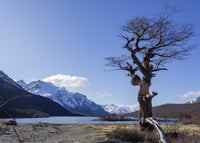 Laguna Hija - El Chalten Wall Art
