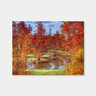 AUTO-MOCKUP WHITE | Lake Conway Cypress Trees | 1 Piece | Gallery Wrap Canvas | group=4x3