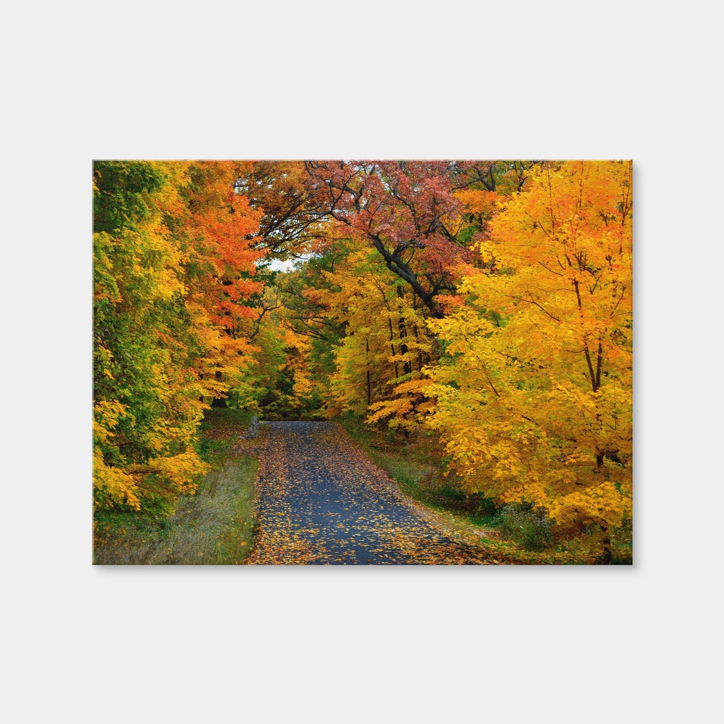 AUTO-MOCKUP WHITE | Lake Geneva Wisconsin Fall Road | 1 Piece | Gallery Wrap Canvas | group=4x3