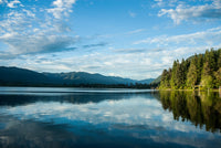 Lake Quinault Wall Art