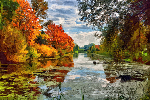 Lakeside autumn trees Wall Art