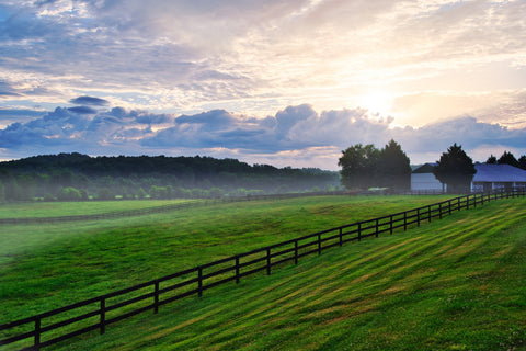 Landrum South Carolina Wall Art