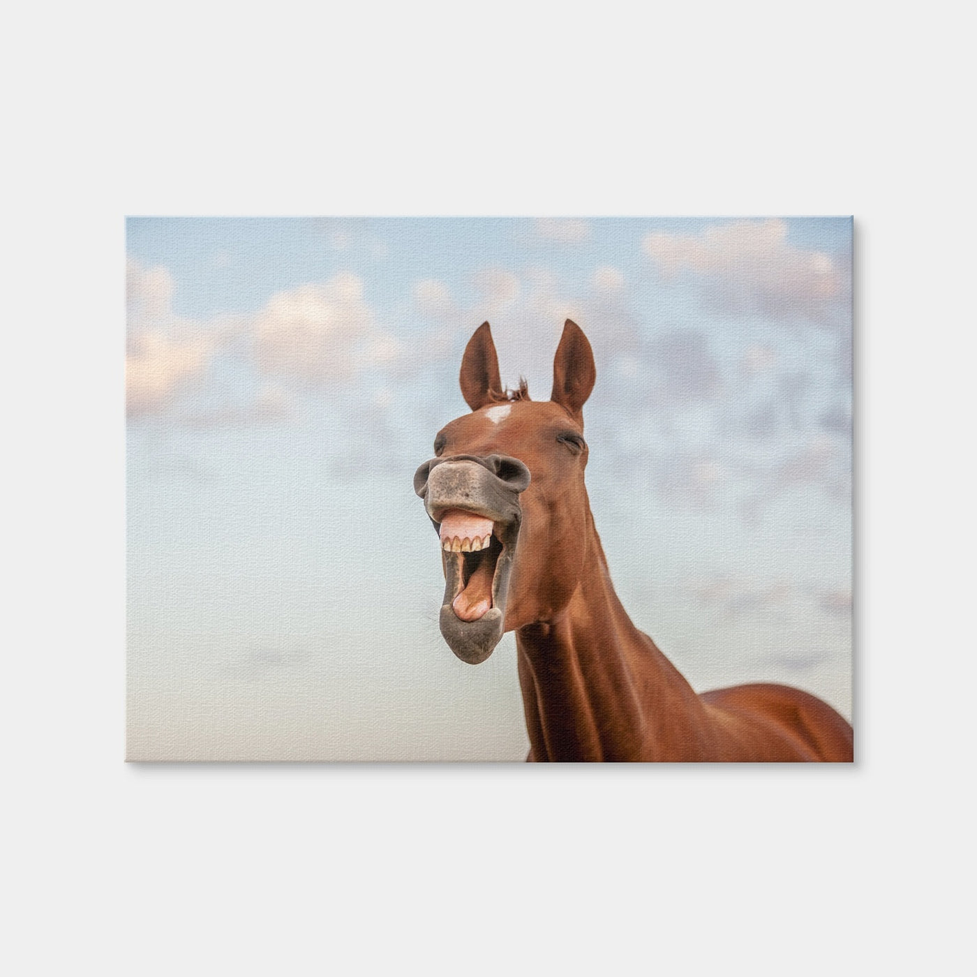 AUTO-MOCKUP WHITE | Laughing Horse | 1 Piece | Gallery Wrap Canvas | group=4x3